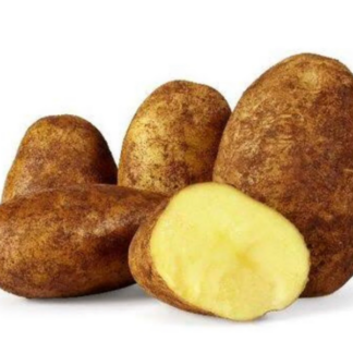 DUTCH CREAM POTATO
