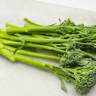 BROCCOLINI 1P